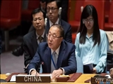 Çin: Amerikanın atəşkəs qətnaməsinə veto qoyması Qəzzada qırğının davam etməsinə yaşıl işıq oldu